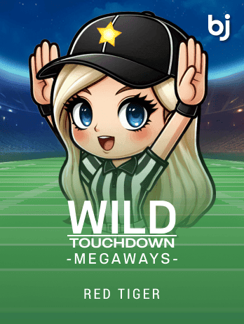 Wild Touchdown Megaways game icon
